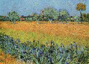 Vincent Van Gogh View of Arles With Iris